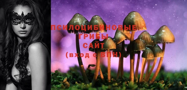 спиды Вязьма
