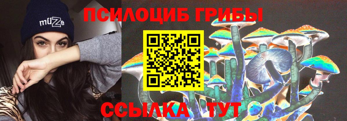 Донецк  Псилоцибиновые грибы ЛСД  Псилоцибиновые грибы GOLDEN TEACHER  Вход с VPN 